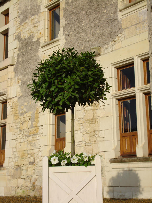 Manoir Du Bois Noblet Bed & Breakfast Louerre ภายนอก รูปภาพ