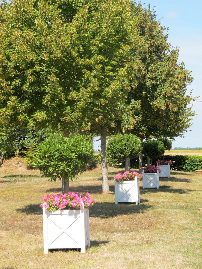 Manoir Du Bois Noblet Bed & Breakfast Louerre ภายนอก รูปภาพ